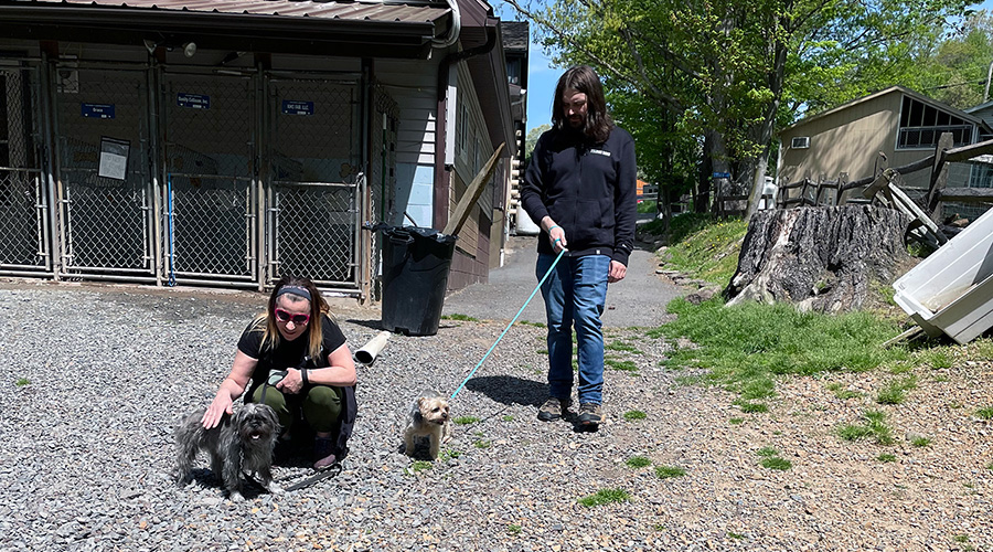 Photo Blue-Chip-900x500.jpg